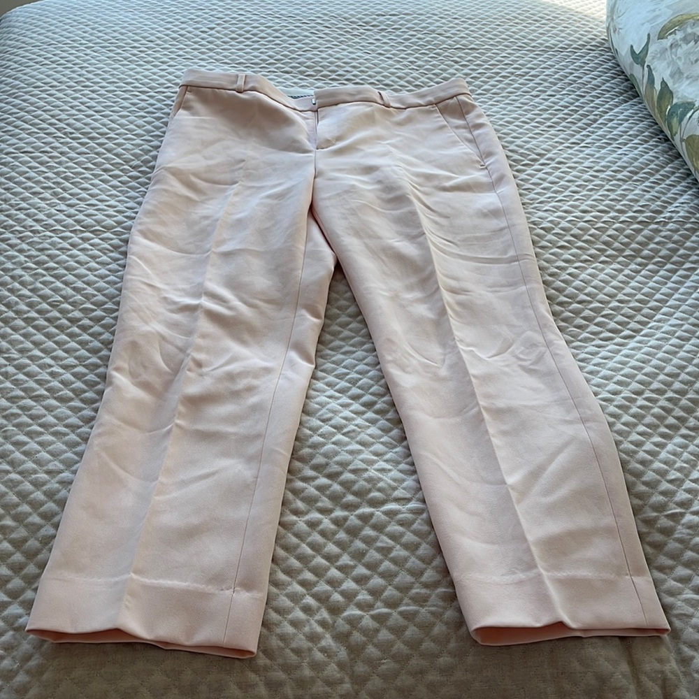 Banana Republic Pale Pink Size 12 Avery Pants